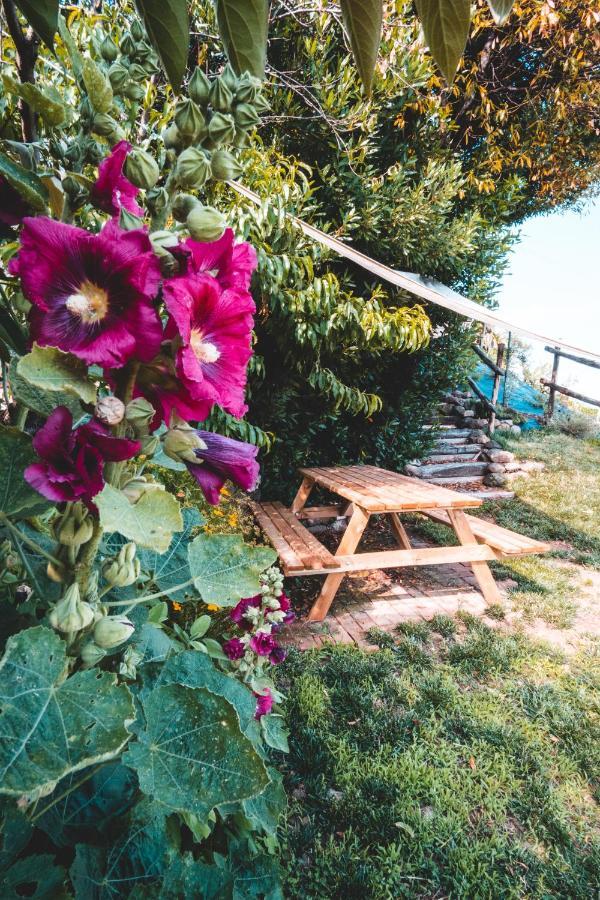 Agriturismo Dai Gobbi Fara Vicentino Екстериор снимка